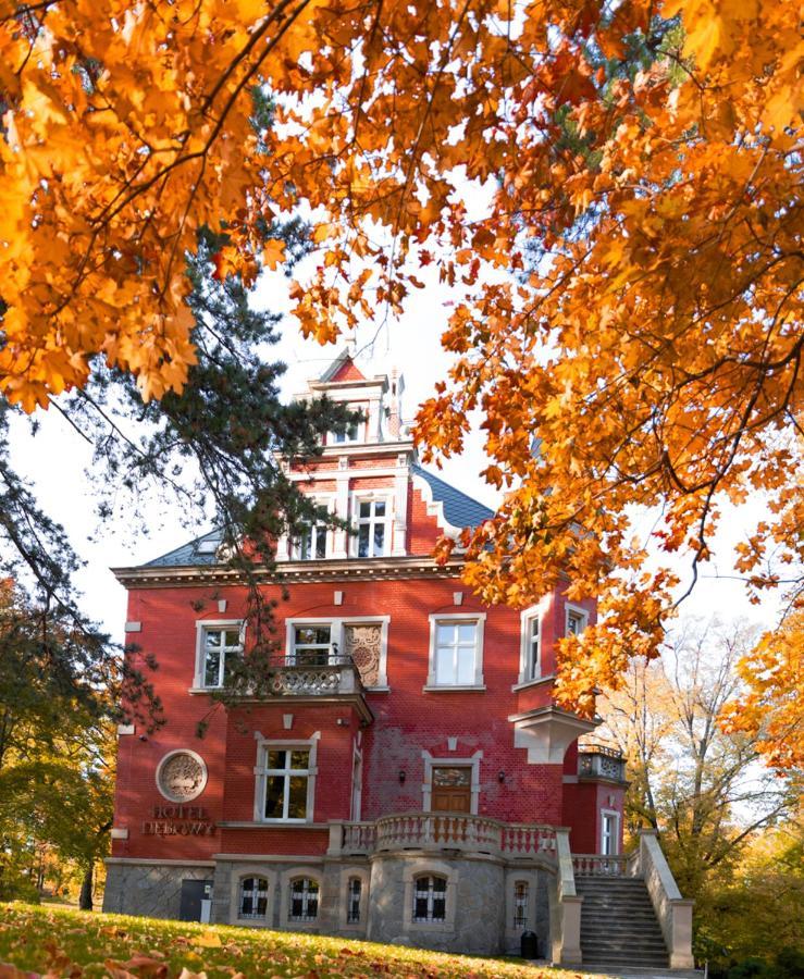 Hotel Debowy Biowellness & Spa Gory Sowie Белява Экстерьер фото