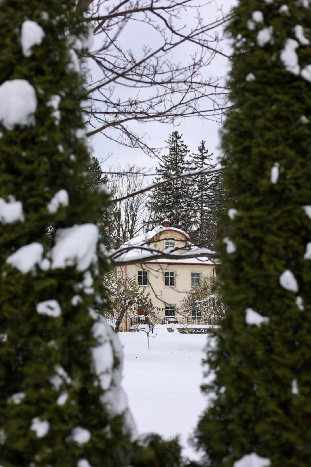 Hotel Debowy Biowellness & Spa Gory Sowie Белява Экстерьер фото