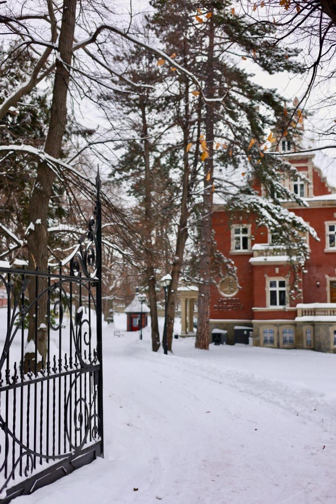 Hotel Debowy Biowellness & Spa Gory Sowie Белява Экстерьер фото